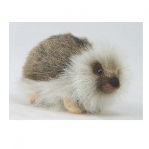 Hedgehog 20cm Plush Soft Toy by Hansa